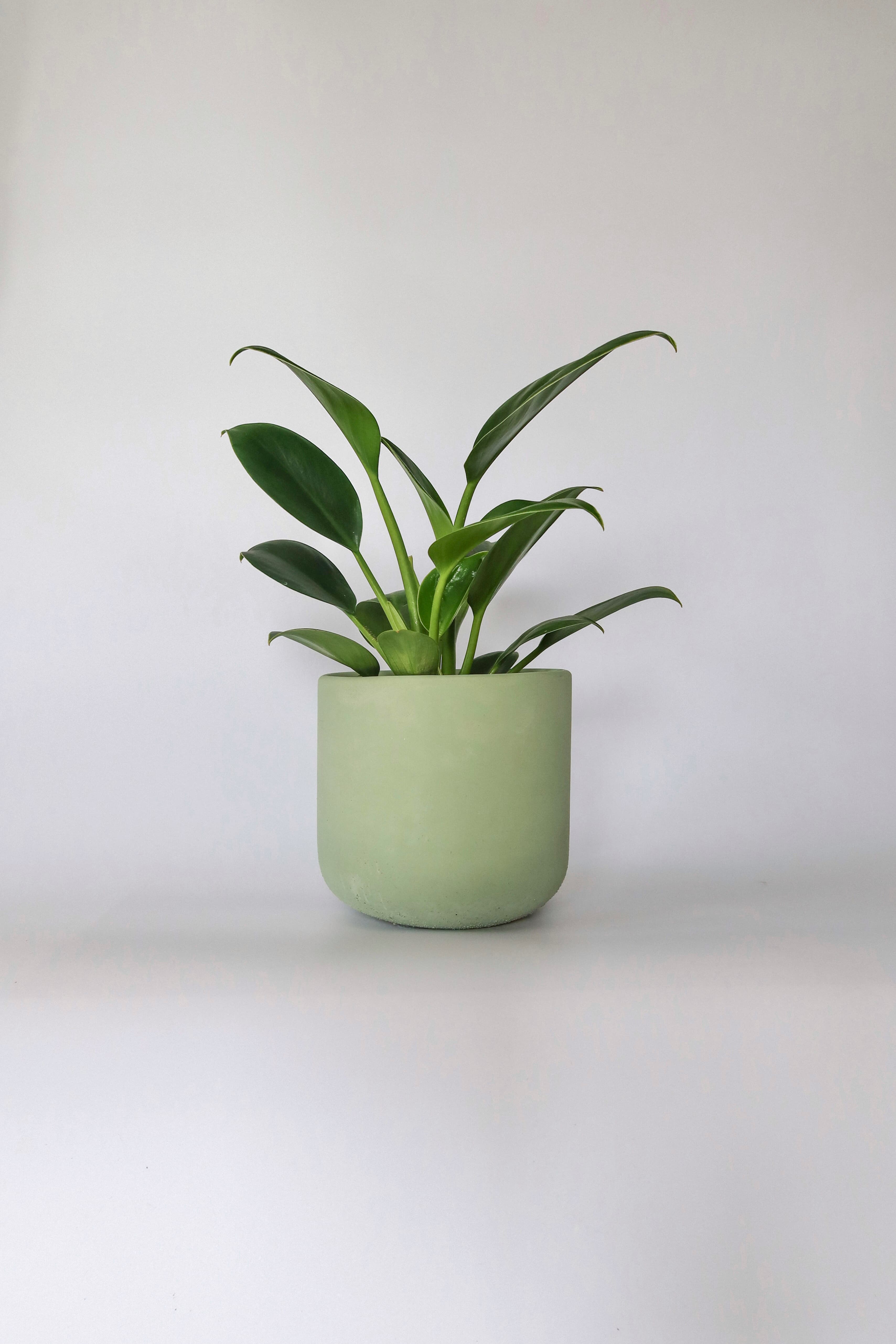 Osłonka betonowa Sage — szałwiowa zieleń, handmade, premium